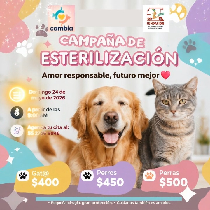 Fundación Usos, Costumbres y Tradiciones de los Pueblos del Mundo